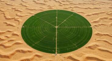 Aerial Perspective of a Circular Crop Field, Sustainable Agriculture, Precision Farming in Arid Lands, Extreme Conditions, Green Revolution photo