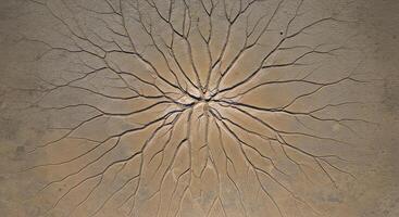 Aerial View of a Dried-Up Lake Bed With Deep Cracks Forming a Unique Pattern photo