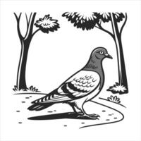 Pigeon image design isolated vector