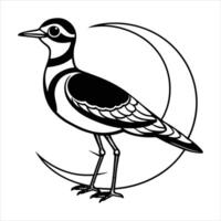 Wagtail Flocking Behavior vector