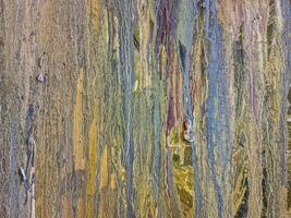 Colorful abstract painting dripping with texture and movement photo