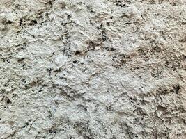 Rough textured white concrete wall creating an abstract background photo