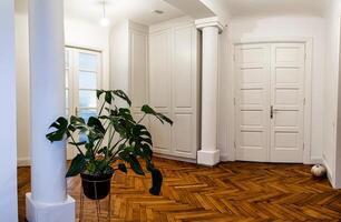 Riga, Latvia, 2024 - Elegant Interior with Herringbone Floor and Glass Panel Doors photo