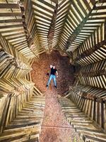 Aerial View of Person in Geometric Wooden Structure with Pebble Ground photo