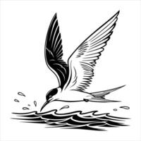 Common Tern Silhouette, Sterna hirundo vector