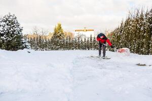 Person Shoveling Snow in a Yard Surrounded by Evergreen Trees photo