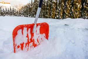 Orange Snow Shovel in Fresh Snow with Evergreen Trees in Background photo