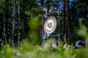Two Decorative Gongs in a Forested Setting with Sunlit Patterns photo