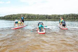 Group Paddleboarding Activity on a Calm Lake Surrounded by Forest photo
