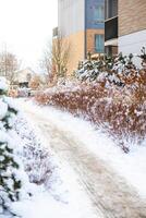 Snow Covered Pathway with Modern Building and Bare Trees photo