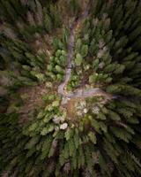 Aerial View of Winding Road Through Dense Evergreen Forest photo