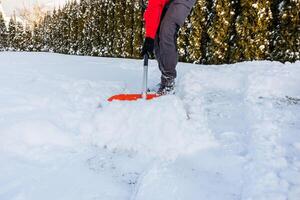 Person Shoveling Snow Near Evergreen Trees on a Sunny Day photo