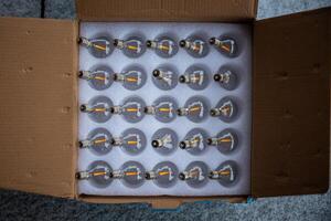Open Cardboard Box with 25 LED Light Bulbs in Foam Inserts photo