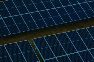 Solar Farm with Rows of Photovoltaic Panels Elevated on Supports photo