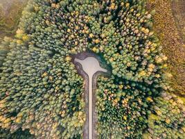 Aerial View of Forest with Keyhole Shaped Clearing and Path photo