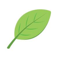 Single Green Leaf with Simple Cartoon Design vector
