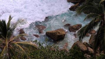 Ocean waves crashing on rocks with palm trees at Diamond Beach video