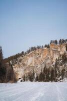 A beautiful snowy landscape featuring a majestic mountain towering in the background, while an array of trees stands prominently in the foreground, highlighting the serene winter scene photo
