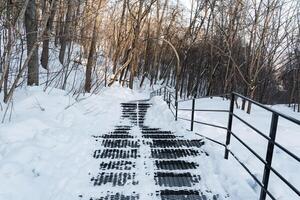 A picturesque snowy path winds its way upward, showcasing an inviting set of stairs that lead into a tranquil and serene forest, abundant with trees completely blanketed in soft, white snow photo
