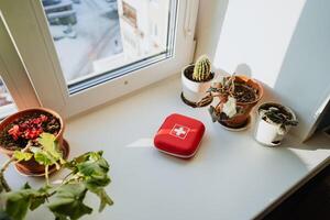 A cozy window scene adorned with various potted plants alongside a stunningly vibrant red box creates a serene atmosphere that is truly ideal for relaxation and tranquility photo
