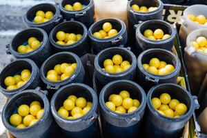 A captivating collection of sleek black containers filled with vibrant yellow balls, creating an alluring sight that consistently attracts onlookers and intrigued passersby photo