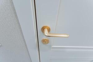 This captivating image features an elegant door handle on a pristine white door, highlighting its intricate design that enhances the homes grand entrance and makes it stand out photo