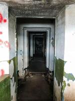 This captivating hallway has artistically decorated walls with various graffiti styles, each conveying powerful messages that enhance the ambiance, making it unforgettable photo