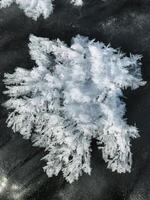 A detailed close up view of a single snowflake resting gracefully on a smooth black surface, highlighting its unique structure and delicate beauty against the dark backdrop photo