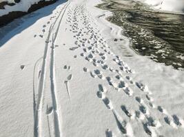 A snowy road with tire tracks in the snow photo