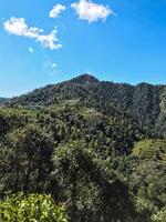 A majestic mountain that is fully covered in lush green trees, beautifully contrasting with a clear blue sky that serves as a stunning backdrop to this picturesque scene photo