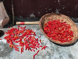 A beautifully crafted wicker basket overflows with vibrant red peppers, arranged neatly to showcase their rich color and unique texture, making them irresistibly appealing photo