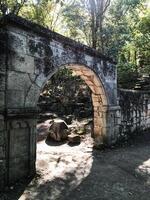 Amidst the lush greenery of the forest stands a magnificent stone archway, creating a stunning focal point that draws the eye and invites exploration into the heart of nature photo