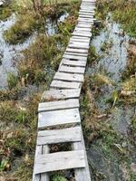 There exists a wooden bridge that gracefully spans across a swampy area situated in the heart of a vast, open field, providing a perfect path for walking and exploring nature around it photo