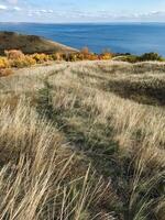 Imagine a vast field of tall, lush grass swaying gently in the breeze, with a winding path that leads the way to the majestic ocean in the distance, creating a serene and picturesque scene photo
