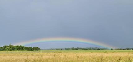 Yellow field with beautiful rainbow photo