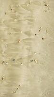A lot of small corals on the sand. View from the top photo