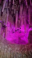 Bats are in the cave photo