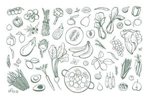 Hand drawn fruits and vegetables set. Collection of vegan food sketch illustrations vector