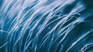 Abstract filaments create flowing lines in a macro close-up with cool blue tones. photo