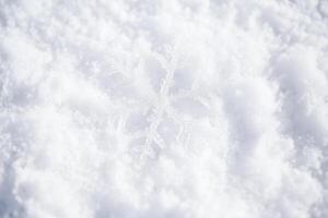 A single delicate snowflake rests gently on a pristine blanket of fresh snow. photo