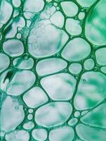 Teal and white cellular structure creates an intriguing abstract background texture. photo