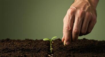 A nurturing hand sows a seed, watching a new plant sprout from the earth. photo