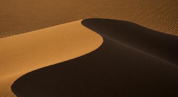 The golden sand dunes create a mesmerizing display of light and shadow. photo