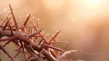 Crown of thorns Jesus christian photo, blank space, christian photo