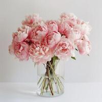 A bouquet of pink peonies template, floral background, rose peony photo