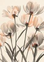 A bouquet of pink peonies template, floral background, white background photo