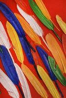 Multicolored quills a deep red surface. Decorative feathers. photo