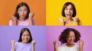 Four cheerful women express their excitement in a vibrant collage. Each is displaying happy gestures, capturing the joy of winning and feeling lucky against bright backgrounds. video