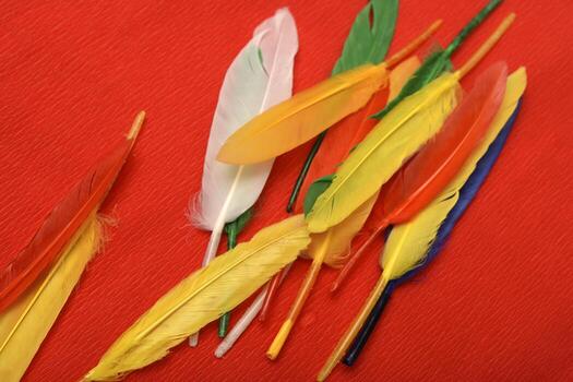 Festive feathers set against a ruby background.Decorative feathers. photo