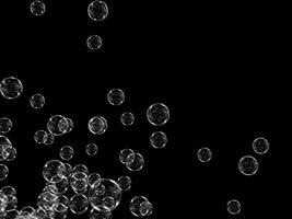 Collection of transparent bubbles scattered against a black background. photo